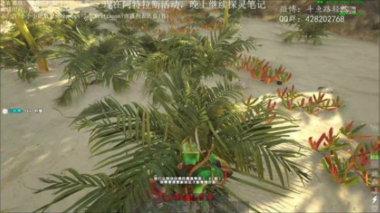 【皮皮路】赛艇之战 2019-01-18 16点场