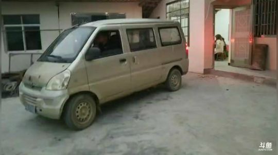 抓甲鱼，红鲤鱼。 2019-01-18 17点场