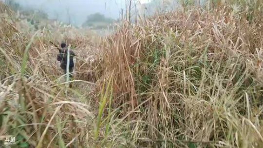 哆啦爱梦梦发布了一个斗鱼视频2019-01-19