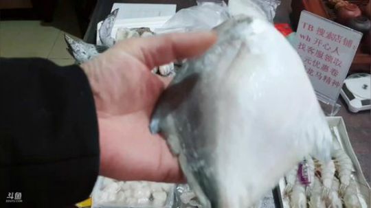 西北老狼哥哥发布了一个斗鱼视频2019-01-19