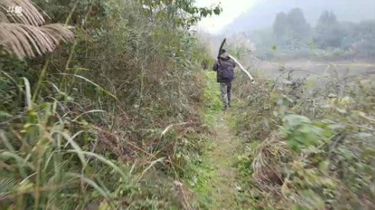 哆啦爱梦梦发布了一个斗鱼视频2019-01-19