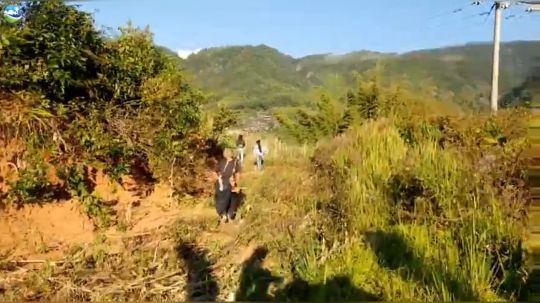 《纪实直播》音乐小镇 老达保 Day3 2019-01-19 17点场