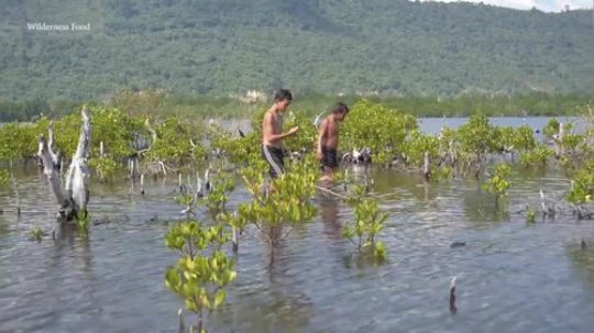 【荒野戏精】~你看过站在水里吃烤钉螺的吗？~真会玩.