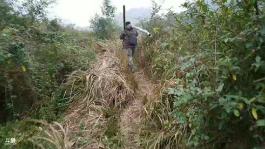 哆啦爱梦梦发布了一个斗鱼视频2019-01-19