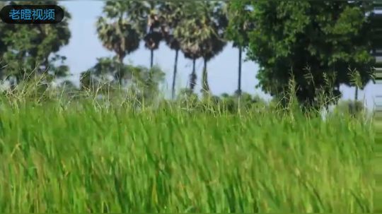 嗨！艾伟万~交出你的赞~！~