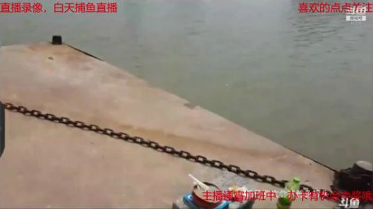 我本善良72发布了一个斗鱼视频2019-01-21