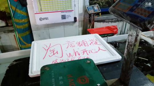 龙马精神丶老狼哥发布了一个斗鱼视频2019-01-21