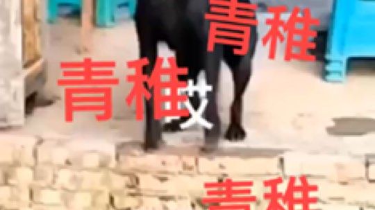 哈哈哈哈哈哈哈哈666