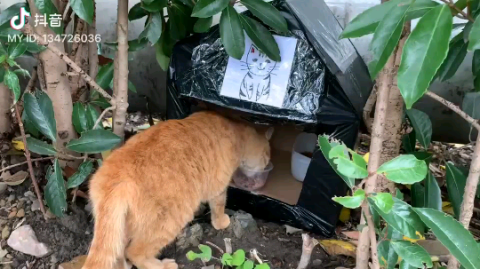 动手能力强不强