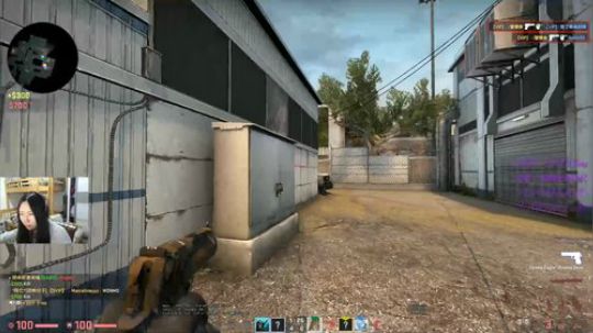 这沙鹰跟自瞄一样嘿嘿 | 2019.01.21