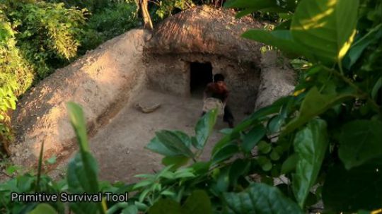 原始生存工具：用竹子在树根下盖房子
