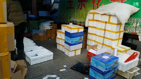 哆啦爱梦梦发布了一个斗鱼视频2019-01-22