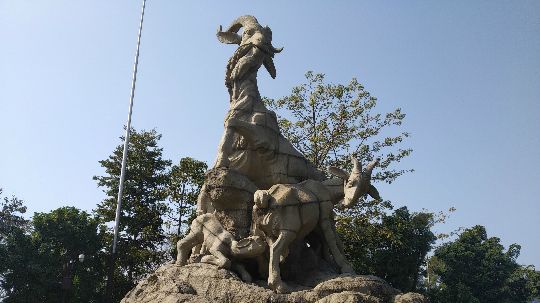 羊X5