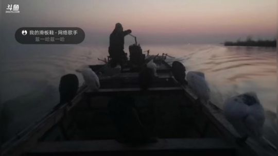 我在斗鱼看微山湖捕鱼武工队直播户外