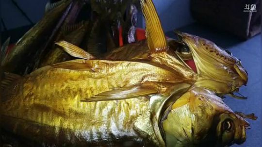 美食节目开始。 2019-01-23 17点场