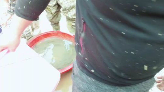 天气好挖黄鳝放鼠笼。 2019-01-23 12点场