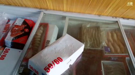 西北老狼哥哥发布了一个斗鱼视频2019-01-23