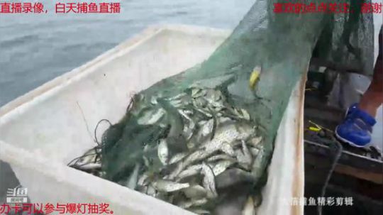 龙马精神之神笔马龙发布了一个斗鱼视频2019-01-23