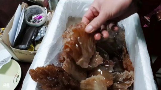 龙马精神丶老狼哥发布了一个斗鱼视频2019-01-23