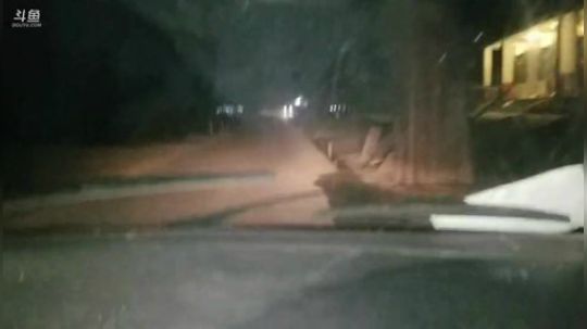 美食节目开始。 2019-01-23 19点场