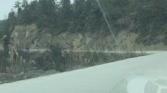 BN丶罗伟发布了一个斗鱼视频2019-01-23