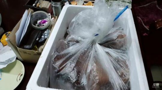 龙马精神丶老狼哥发布了一个斗鱼视频2019-01-23