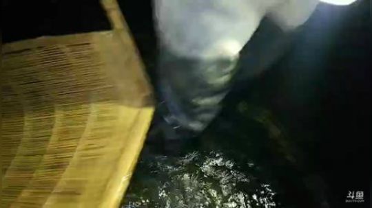 美食节目开始。 2019-01-23 20点场