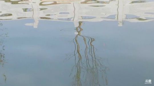 早晨起床！拥抱太阳 2019-01-24 09点场