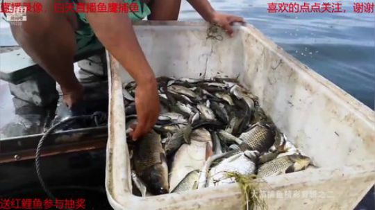 我在斗鱼看微山湖捕鱼武工队直播户外