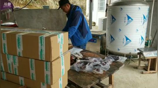 打包快递。 2019-01-24 10点场