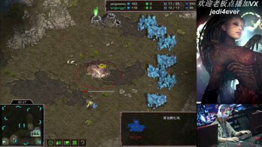 顶尖zerg教MM打SC 2019-01-23 22点场