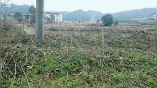 打包快递。 2019-01-24 14点场