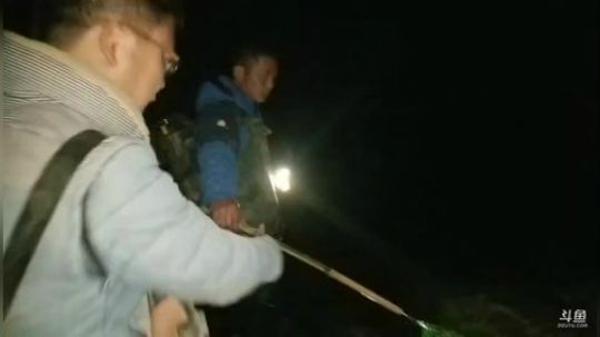 晚上7点开播抓鱼。 2019-01-24 18点场