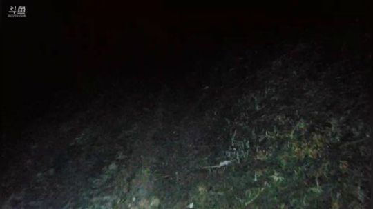 深山大咖的两天生活 2019-01-26 22点场