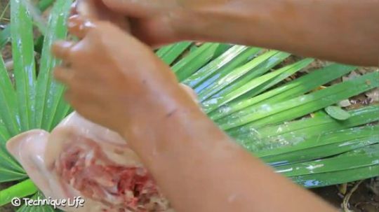 【荒野戏精】~又见烤猪头~