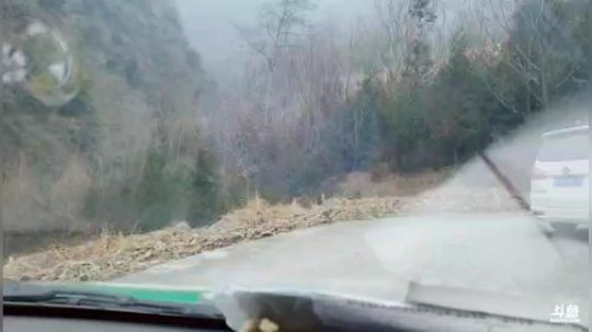 和叶子一起上山做饭(≧ω≦)/ 2019-01-26 12点场