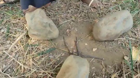 【荒野虫哥】~河中漂来大猪头~这都不是事儿~