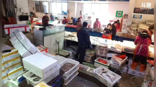 丿Good丶发布了一个斗鱼视频2019-01-26