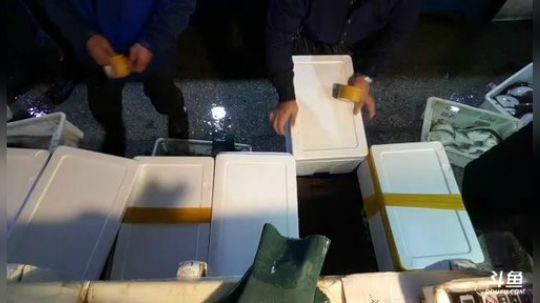 丿Good丶发布了一个斗鱼视频2019-01-27