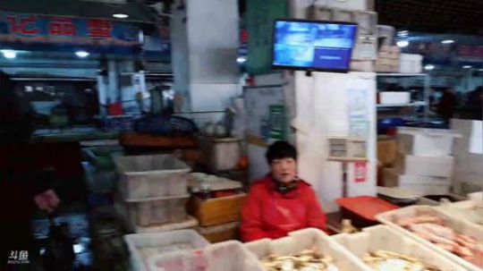 龙马精神丶老狼哥发布了一个斗鱼视频2019-01-27