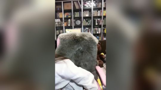 花街灯如昼zz发布了一个斗鱼视频2019-01-27