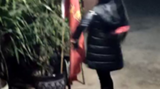 给大家看看，我们的小可爱，倩倩，还有我们的大旗！