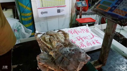 西北老狼哥哥发布了一个斗鱼视频2019-01-27