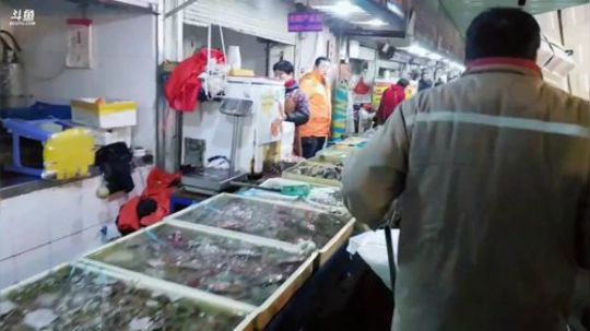 龙马精神丶老狼哥发布了一个斗鱼视频2019-01-27