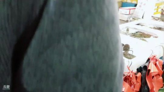 西北老狼哥哥发布了一个斗鱼视频2019-01-27