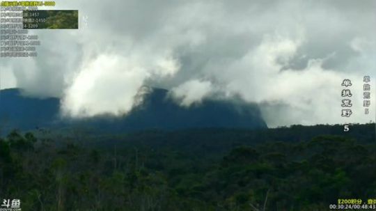 户外遛狗王飞哥发布了一个斗鱼视频2019-01-28