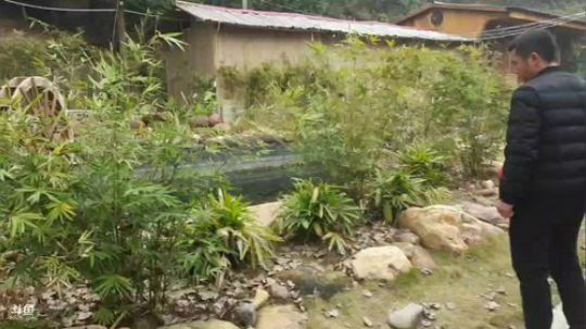 好果好槟榔，提神口味王。 2019-01-29 11点场