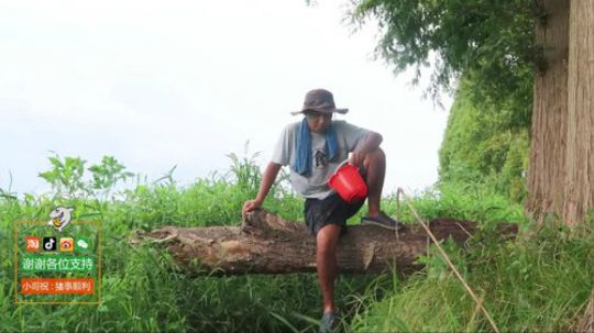 我在斗鱼看野食小哥直播美食