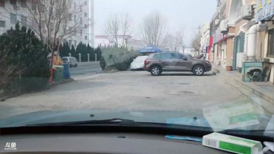 西北老狼哥哥发布了一个斗鱼视频2019-01-30