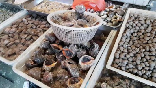 龙马精神丶老狼哥发布了一个斗鱼视频2019-01-30